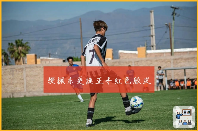 樊振东更换正手红色胶皮