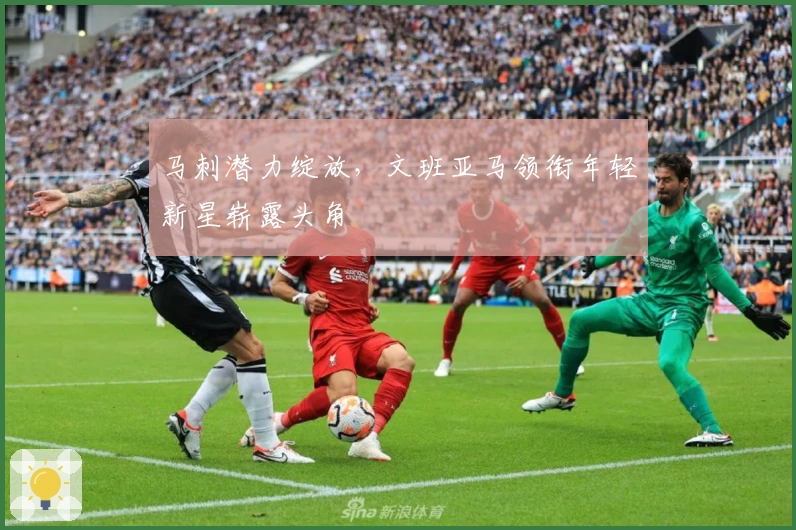 马刺潜力绽放，文班亚马领衔年轻新星崭露头角