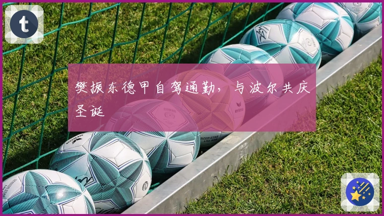 樊振东德甲自驾通勤，与波尔共庆圣诞